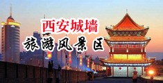 在线插美女视频大全中国陕西-西安城墙旅游风景区